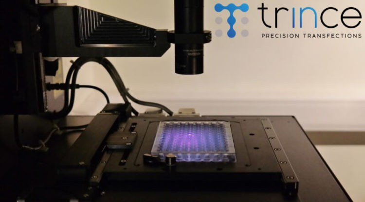 Trince: une équipe gantoise déchiffre le code des transfections cellulaires