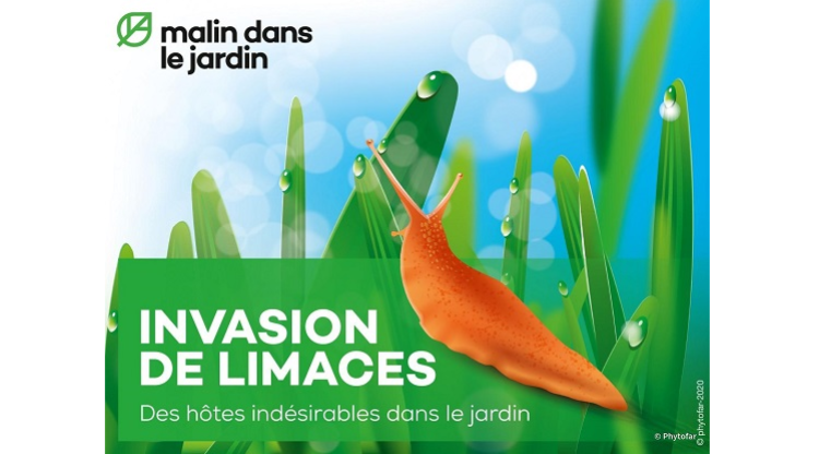 Malin dans le jardin : des vidéos pratiques pour protéger votre jardin contre les limaces !