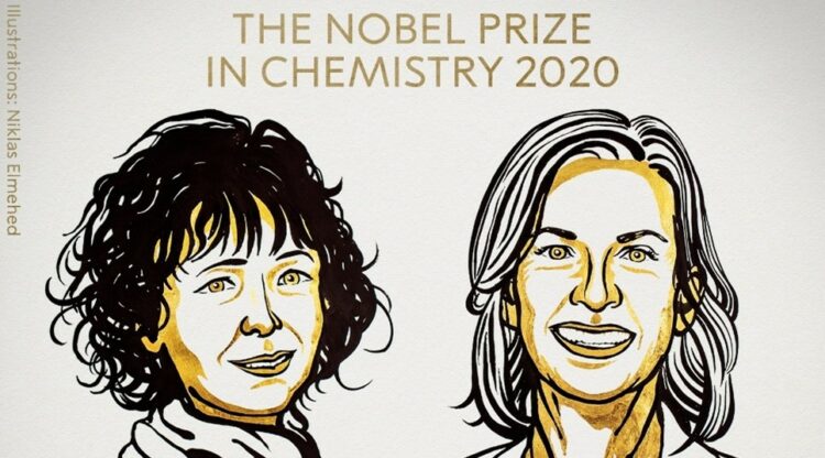 Le Nobel de chimie attribué à deux femmes pour la découverte des ciseaux à ADN