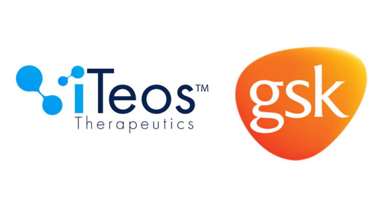 Partenariat entre iTeos Therapeutics et GSK sur un traitement anti-cancéreux