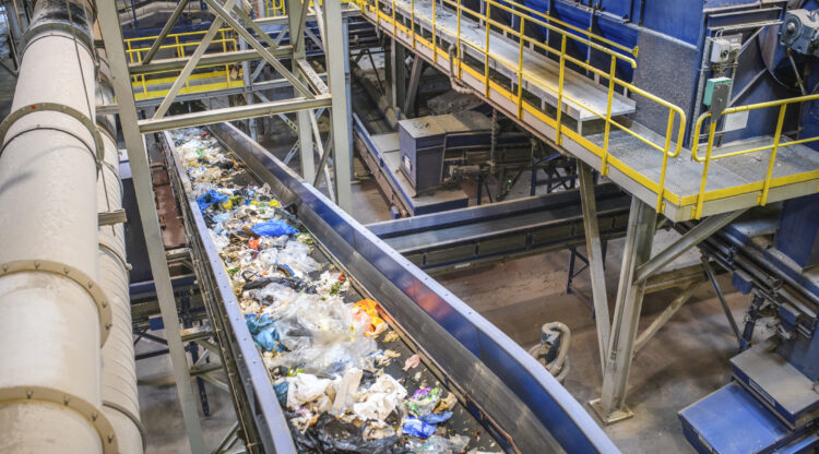 Conveyor Belt for Recyclables in Waste Processing Facility